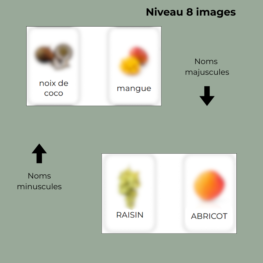 Jeu d'association - Les fruits - 8 images