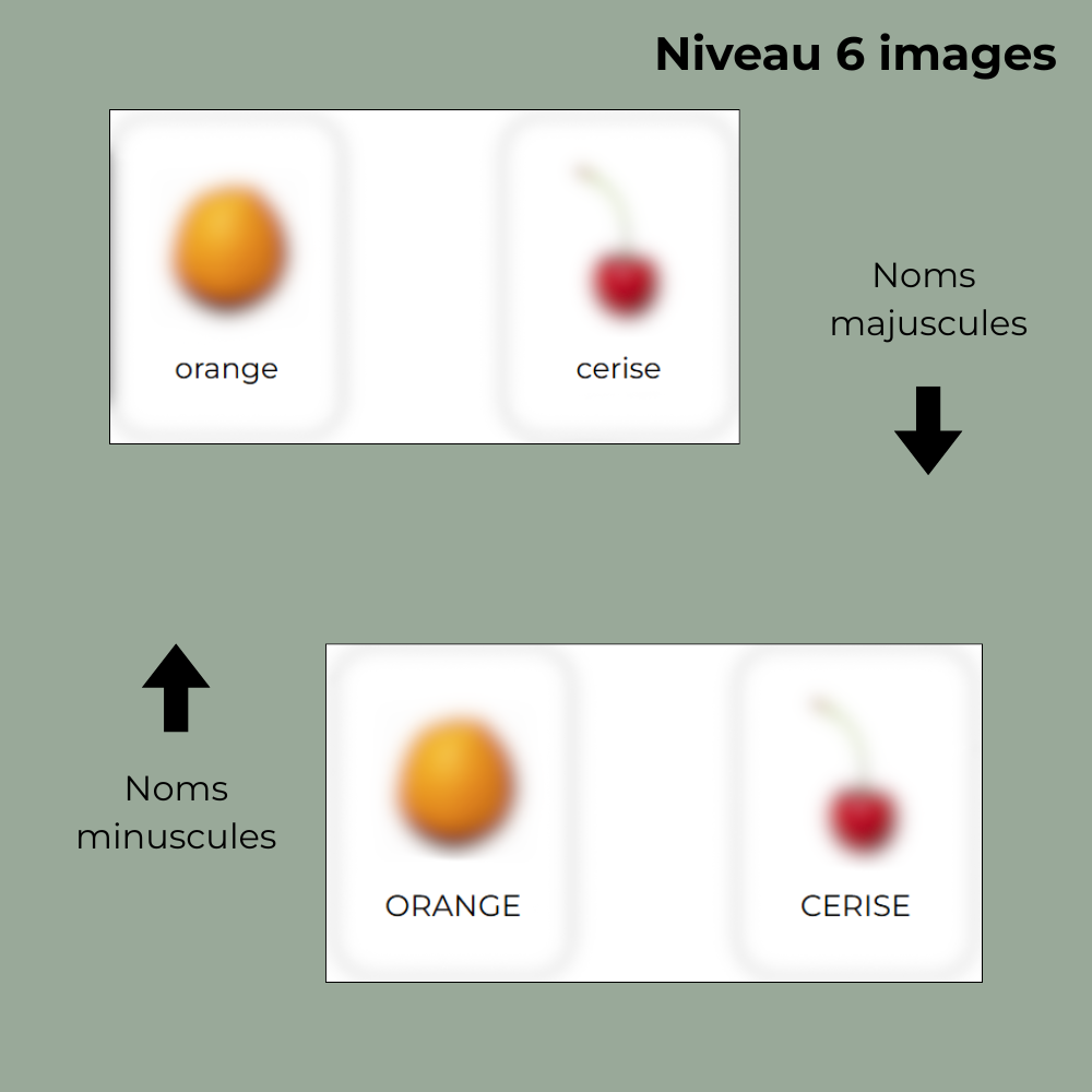 Jeu d'association - Les fruits - 6 images