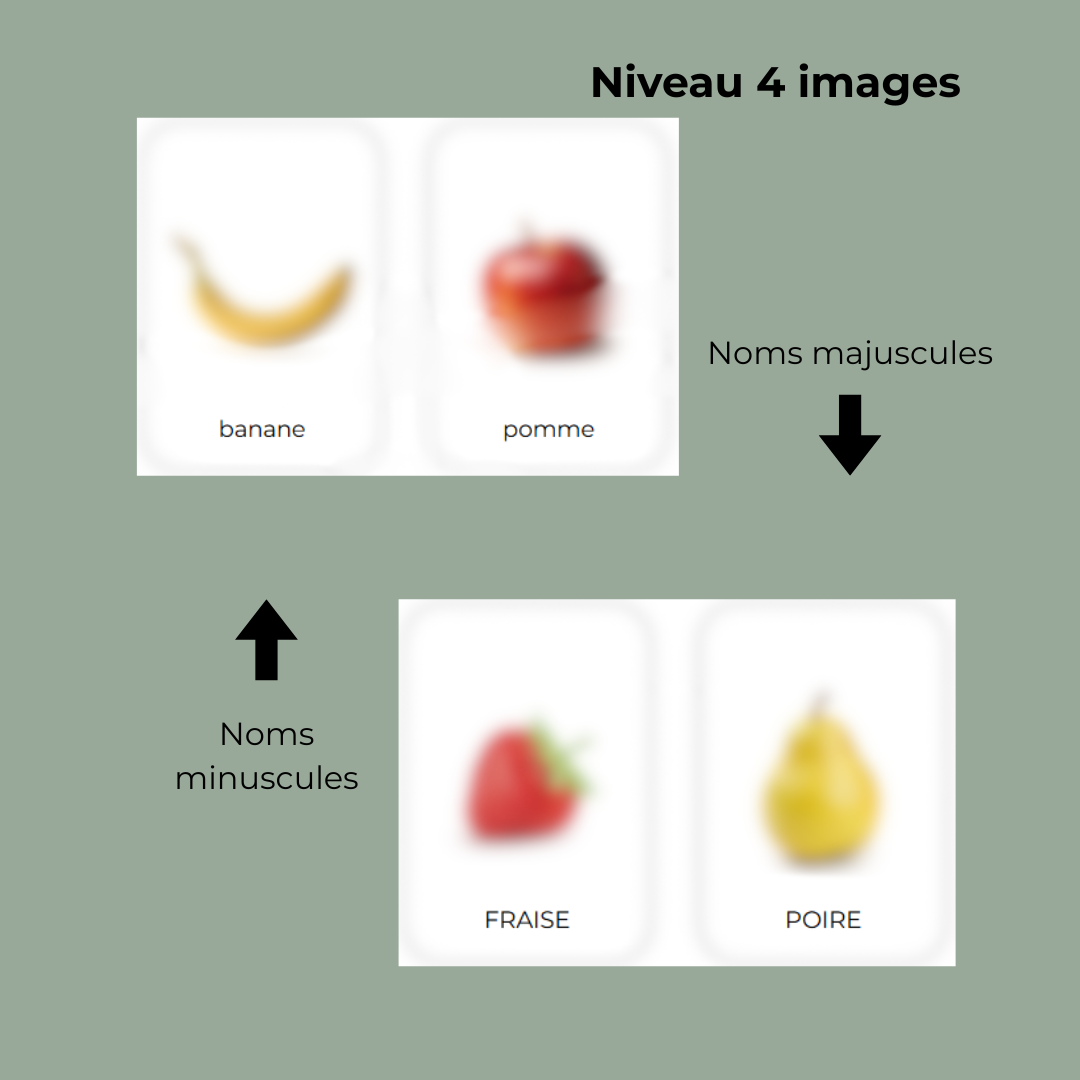 Jeu d'association - Les fruits - 4 images