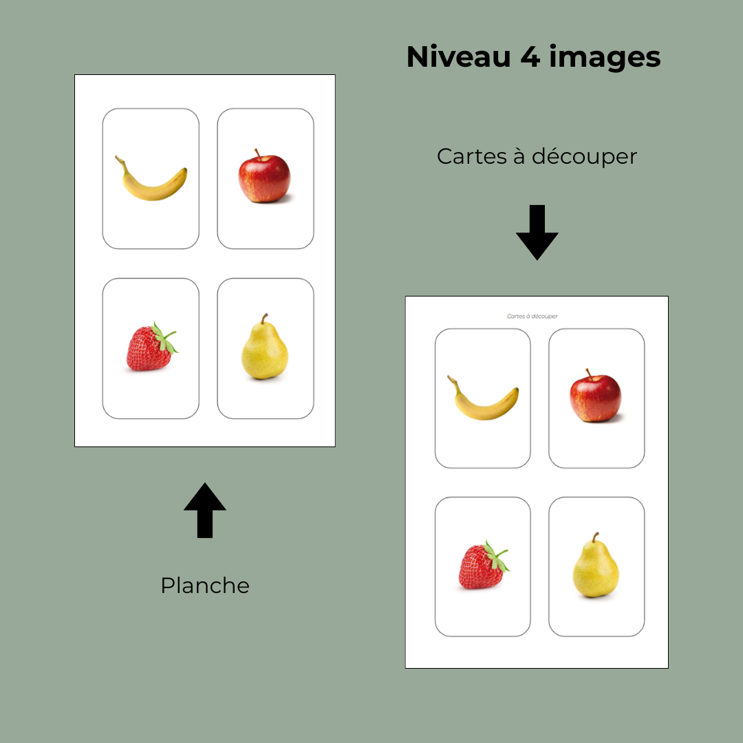Jeu d'association - Les fruits