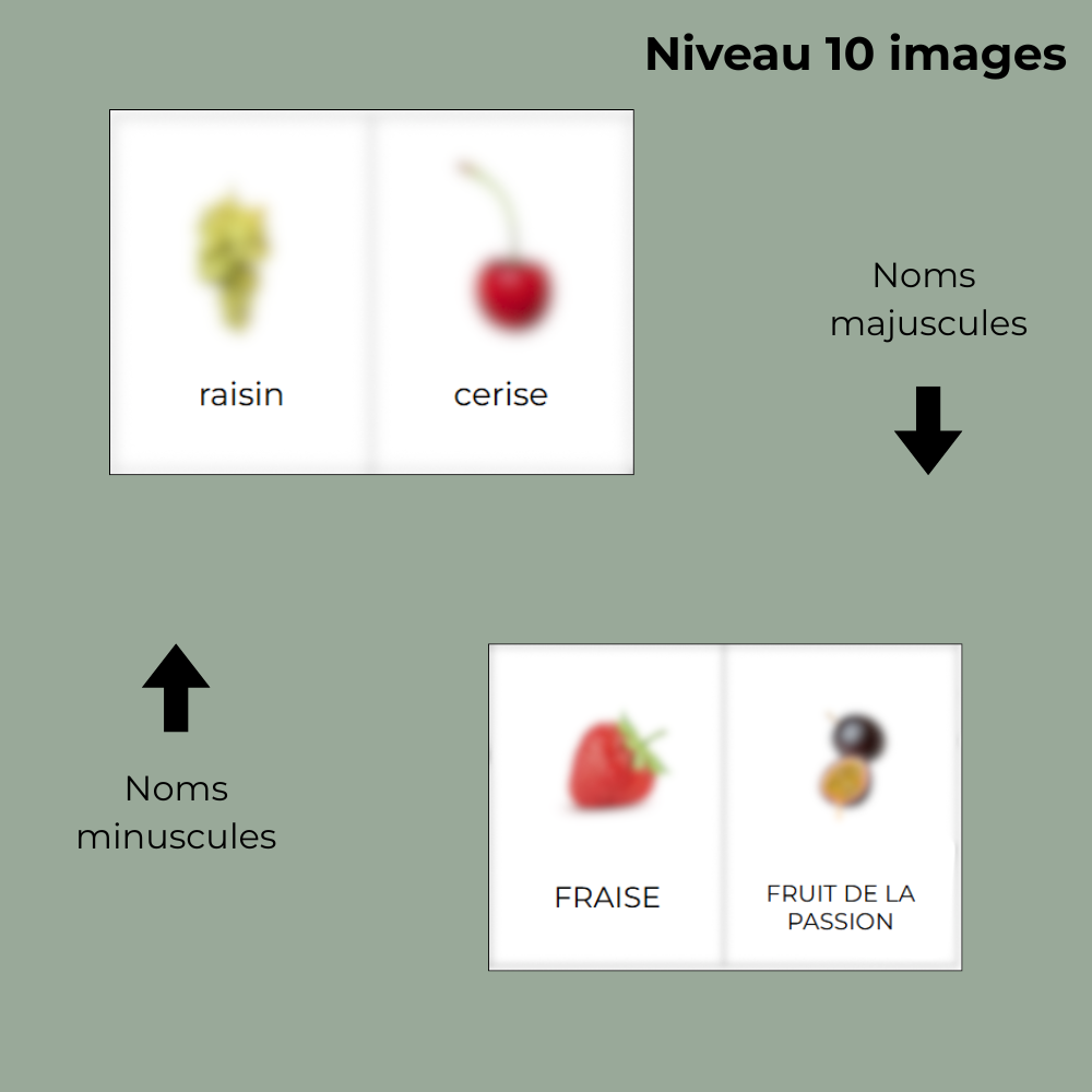 Jeu d'association - Les fruits - 10 images