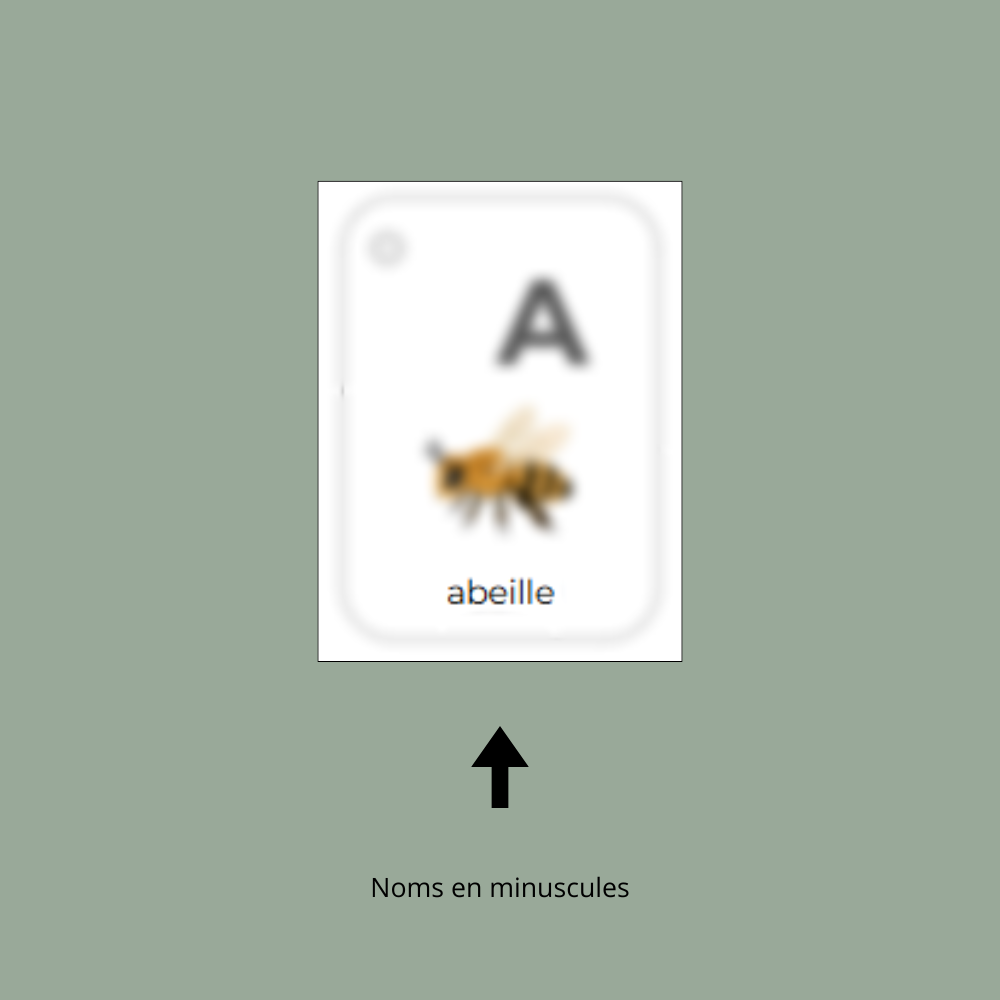 Mon trousseau de l'alphabet animaux - noms minuscules