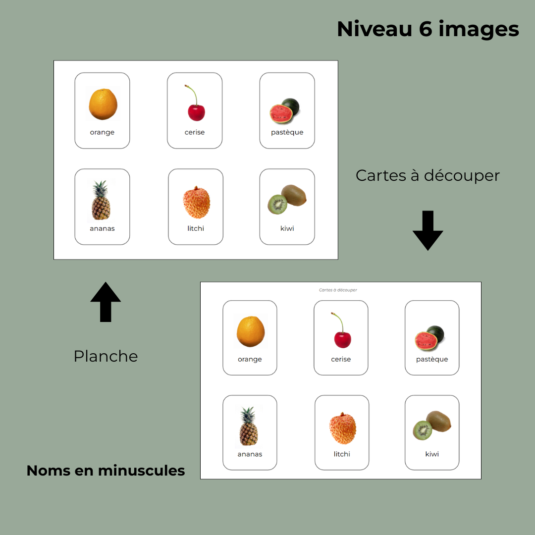 Jeu d'association - Les fruits