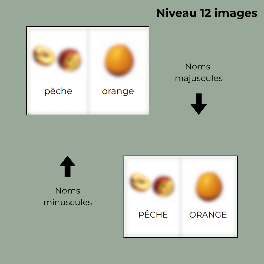 Jeu d'association - Les fruits - 12 images